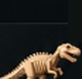 Dinosaur Model